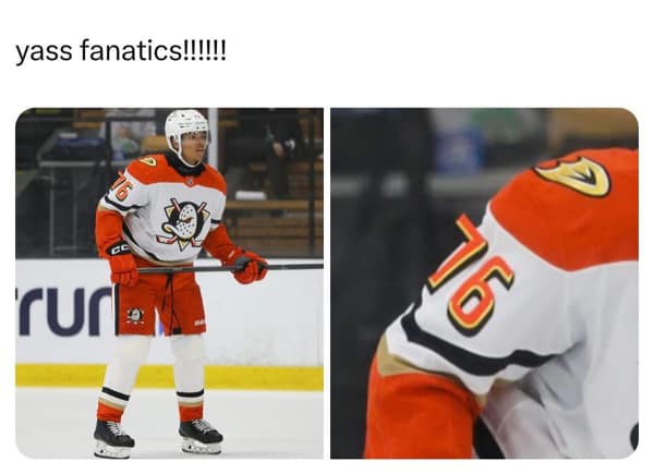 nhl memes, hockey memes, funny NHL memes, 2024 NHL season memes, sports memes, hockey fan jokes, team rivalry memes, NHL humor, funny hockey moments, sports humor