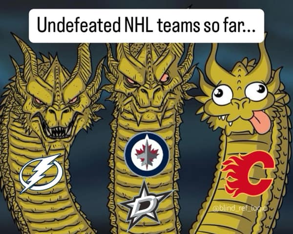 NHL memes, hockey memes, NHL humor, hockey jokes, sports memes, ice hockey memes, puck humor, slapstick laughter