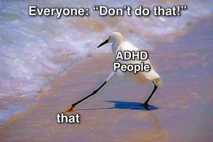 Everyone: "Don't do that!" @adhd_memetherapy ADHD People that