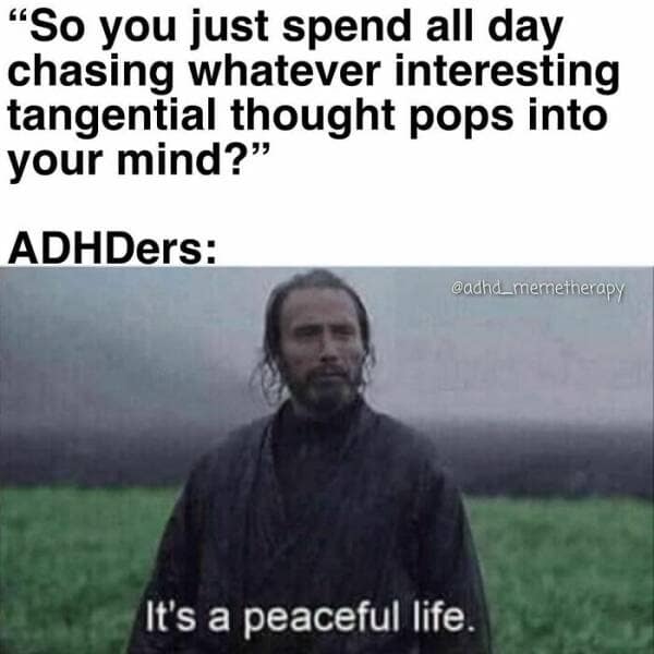 "So you just spend all day chasing whatever interesting tangential thought pops into your mind?" ADHDers: @adha_memetherapy It's a peaceful life.