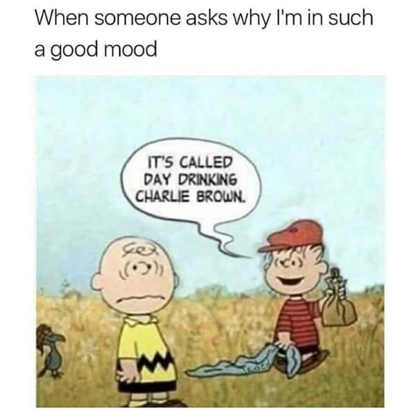 alcohol memes, hangover memes, Drinking memes, Hangover humor, booze memes