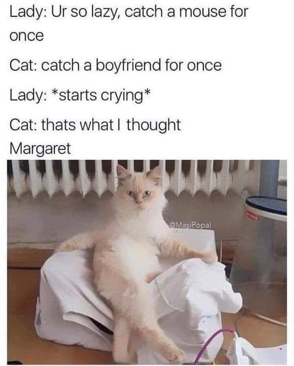 animal memes, funny animal memes, animal humor, funny pet memes, pet jokes, animal antics, hilarious animal posts