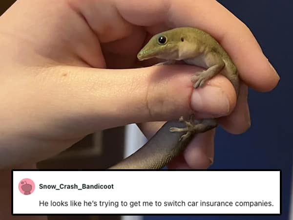 He looks like he's trying to get me to switch car insurance companies.