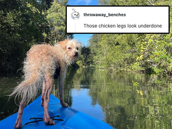 Those chicken legs look underdone