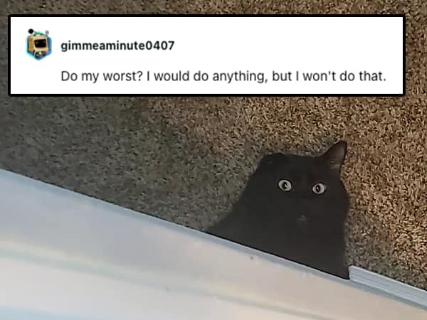 Do my worst? I would do anything, but I won't do that.