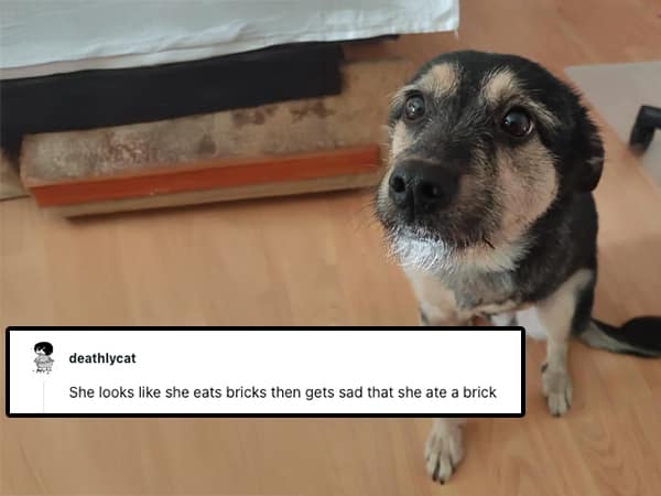 She looks like she eats bricks then gets sad that she ate a brick