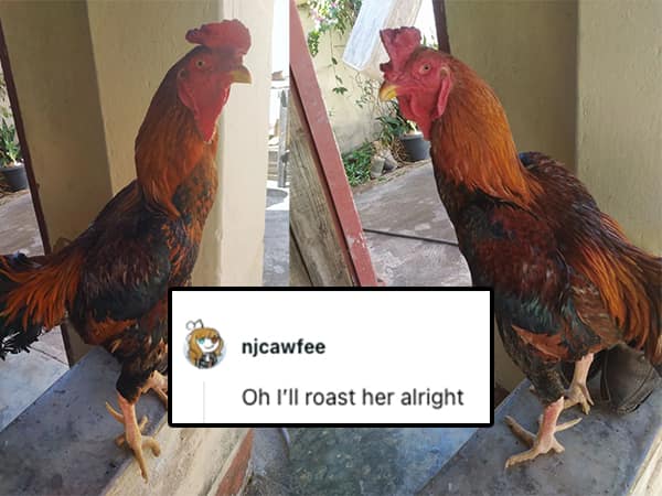 Oh I'll roast her alright