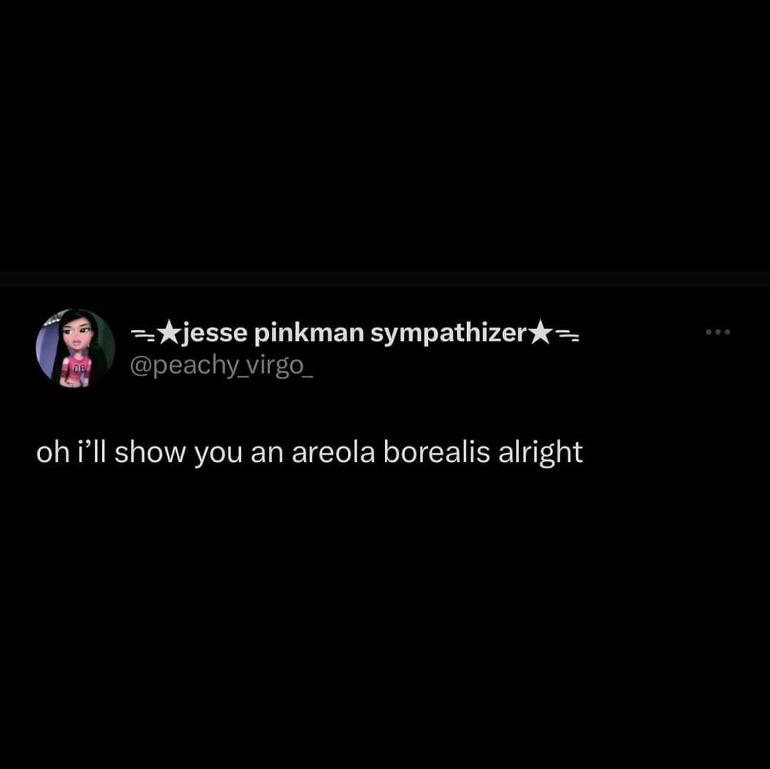 aurora borealis memes, northern lights memes, sky-watching memes, nature memes, stargazing memes, natural phenomenon memes, night sky memes, sky humor, celestial memes, Northern Lights humor