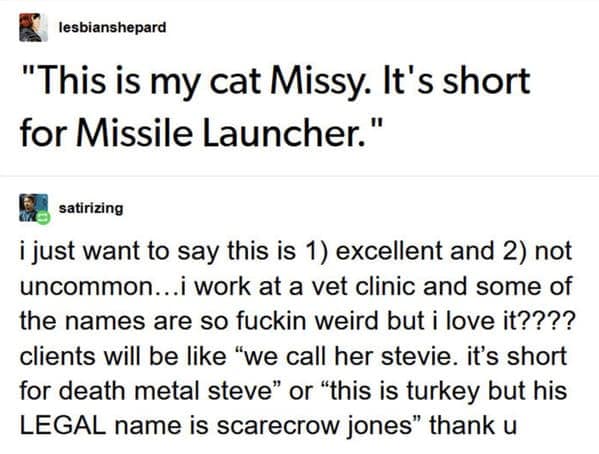 "This is my cat Missy. It's short for Missile Launcher."