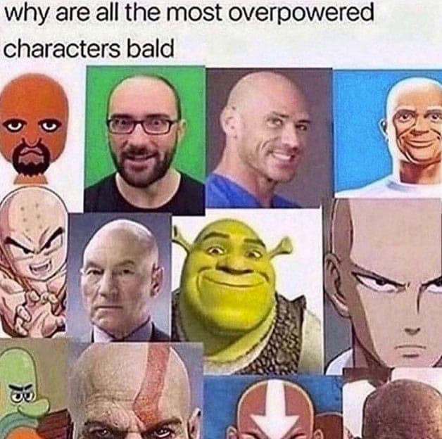 bald memes, bald guy memes, hair loss memes, funny bald jokes, bald humor, receding hairline humor, self-deprecating humor, bald life jokes