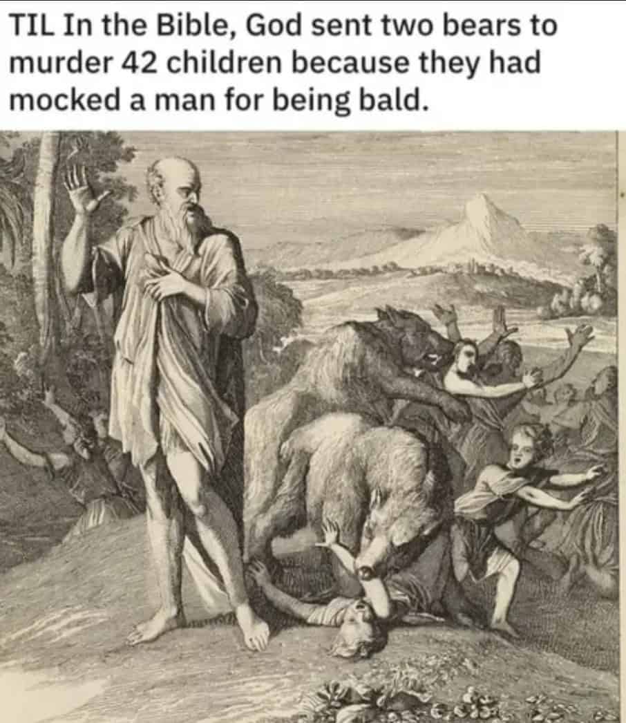 bald memes, bald guy memes, hair loss memes, funny bald jokes, bald humor, receding hairline humor, self-deprecating humor, bald life jokes