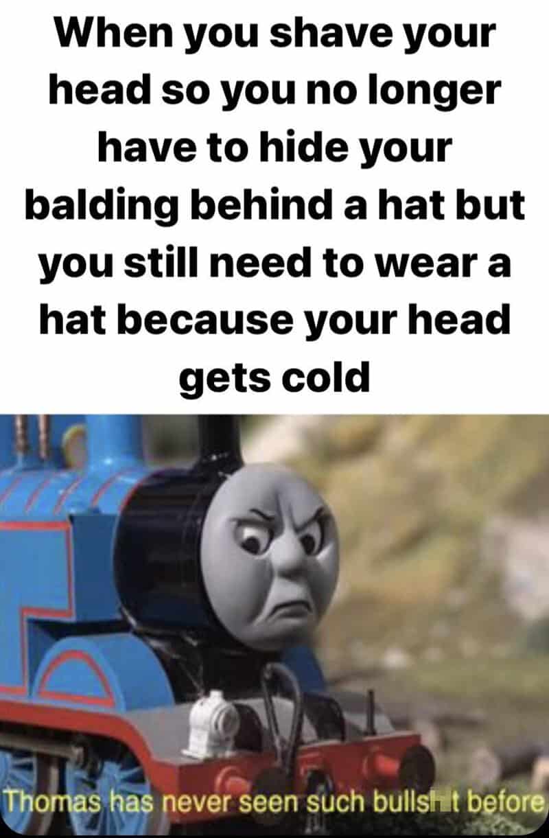 bald memes, bald guy memes, hair loss memes, funny bald jokes, bald humor, receding hairline humor, self-deprecating humor, bald life jokes