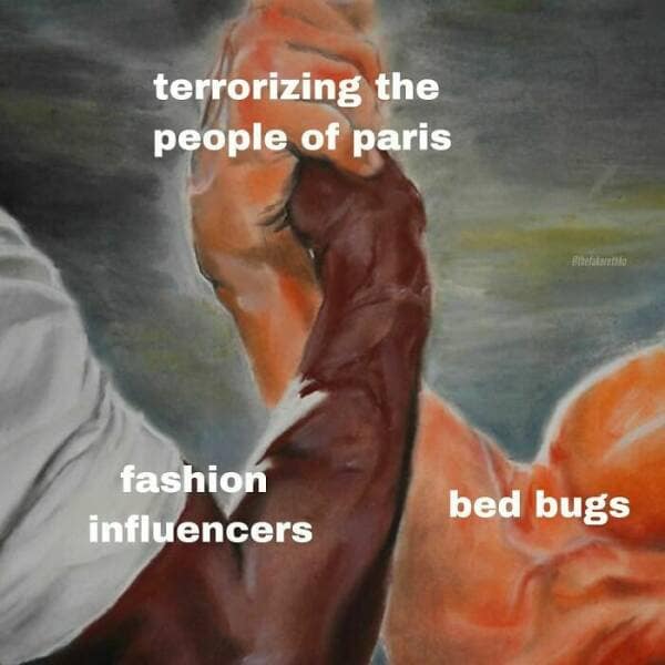 terrorizing the people of paris fashion influencers bed bugs