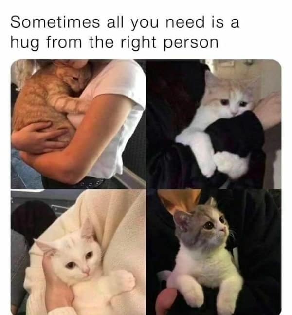 Sometimes all you need is a hug from the right person