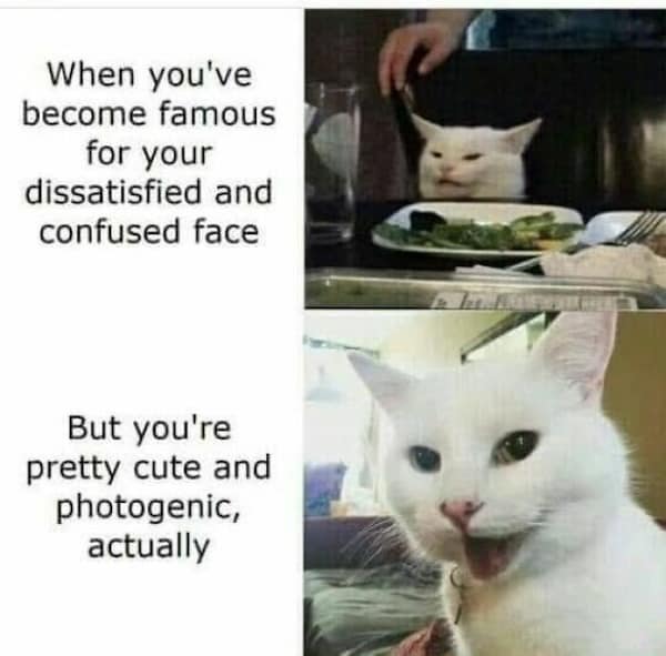 When you've become famous for your dissatisfied and confused face But you're pretty cute and photogenic, actually