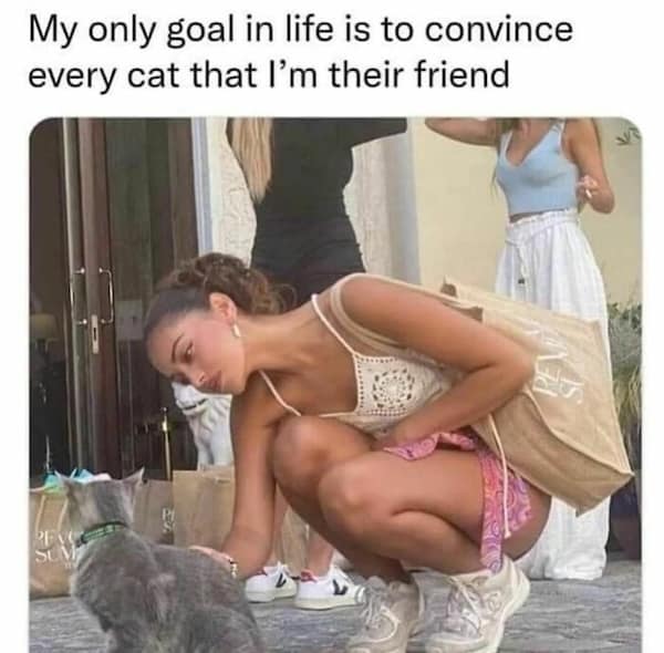 My only goal in life is to convince every cat that I'm their friend