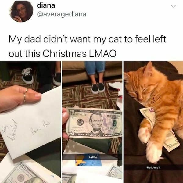 My dad didn't want my cat to feel left out this Christmas LMAO