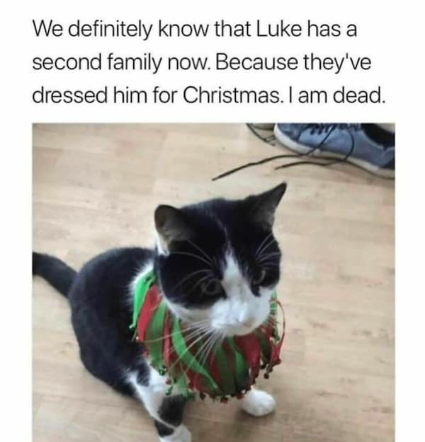 We definitely know that Luke has a second family now. Because they've dressed him for Christmas.