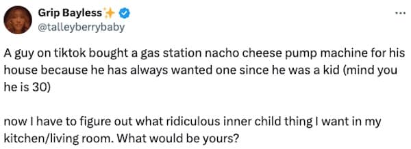 childhood dreams, funny adult purchases, grown-up money, nostalgic spending