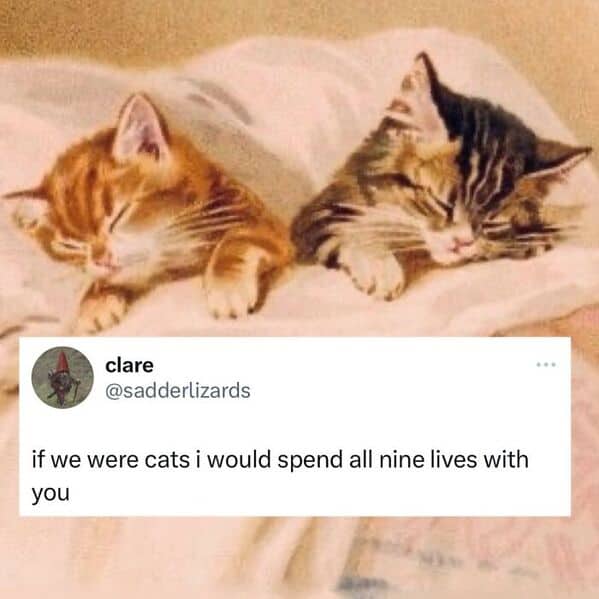 children's book memes, kid's book memes, funny book memes, book art memes, childhood memes, classic book memes, funny kids’ books, meme art, nostalgic book humor, kids’ book humor, meme illustrations