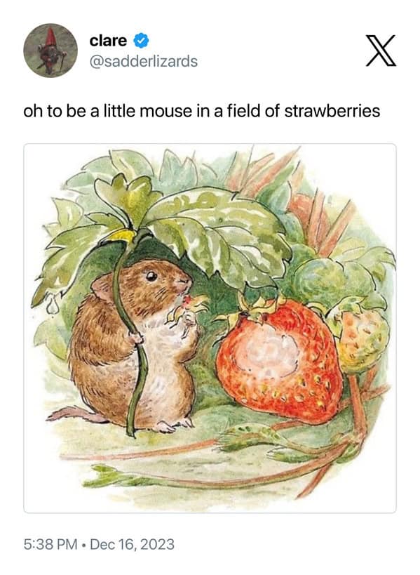 children's book memes, kid's book memes, funny book memes, book art memes, childhood memes, classic book memes, funny kids’ books, meme art, nostalgic book humor, kids’ book humor, meme illustrations