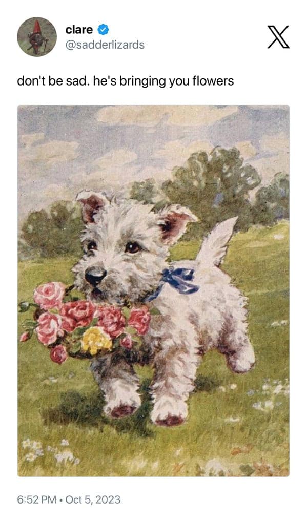 children's book memes, kid's book memes, funny book memes, book art memes, childhood memes, classic book memes, funny kids’ books, meme art, nostalgic book humor, kids’ book humor, meme illustrations