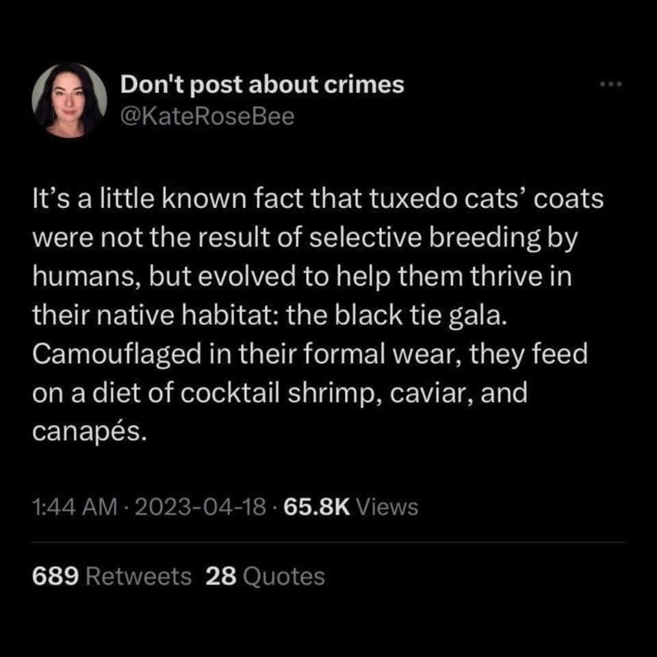 classic memes, vintage memes, viral tweets, Epic Tweets, Legendary Tweets, Funny Throwbacks, Hilarious Nostalgia, Amusing Internet History, Timeless Online Humor, Classic Internet Jokes, Iconic Meme References