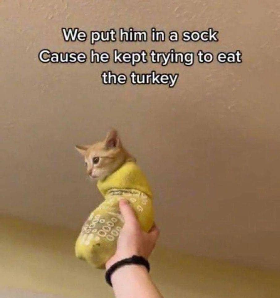 classic memes, vintage memes, viral tweets, old memes, iconic tweets, internet sensations