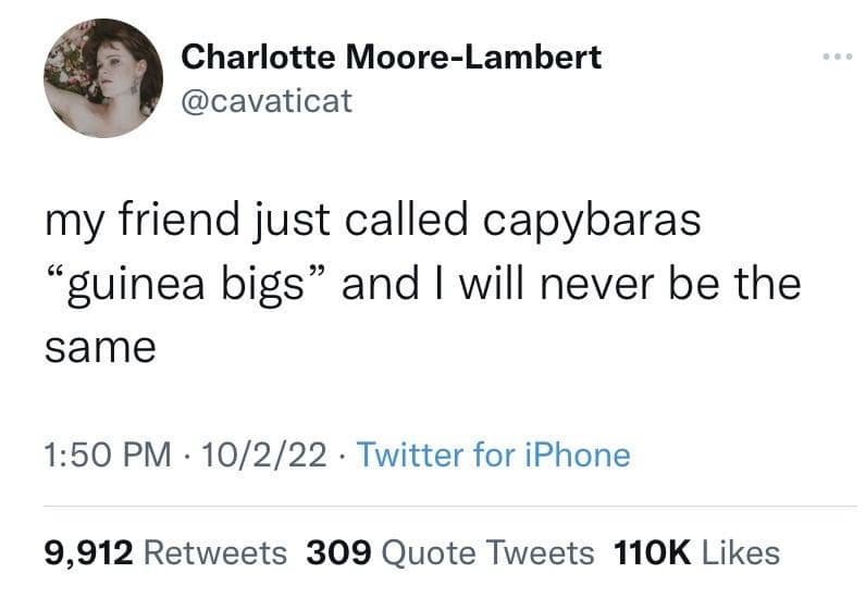 classic memes, vintage meme, viral tweets, timeless memes, viral internet memes, popular tweets, funny viral posts, trending tweets, viral memes, timeless internet humor