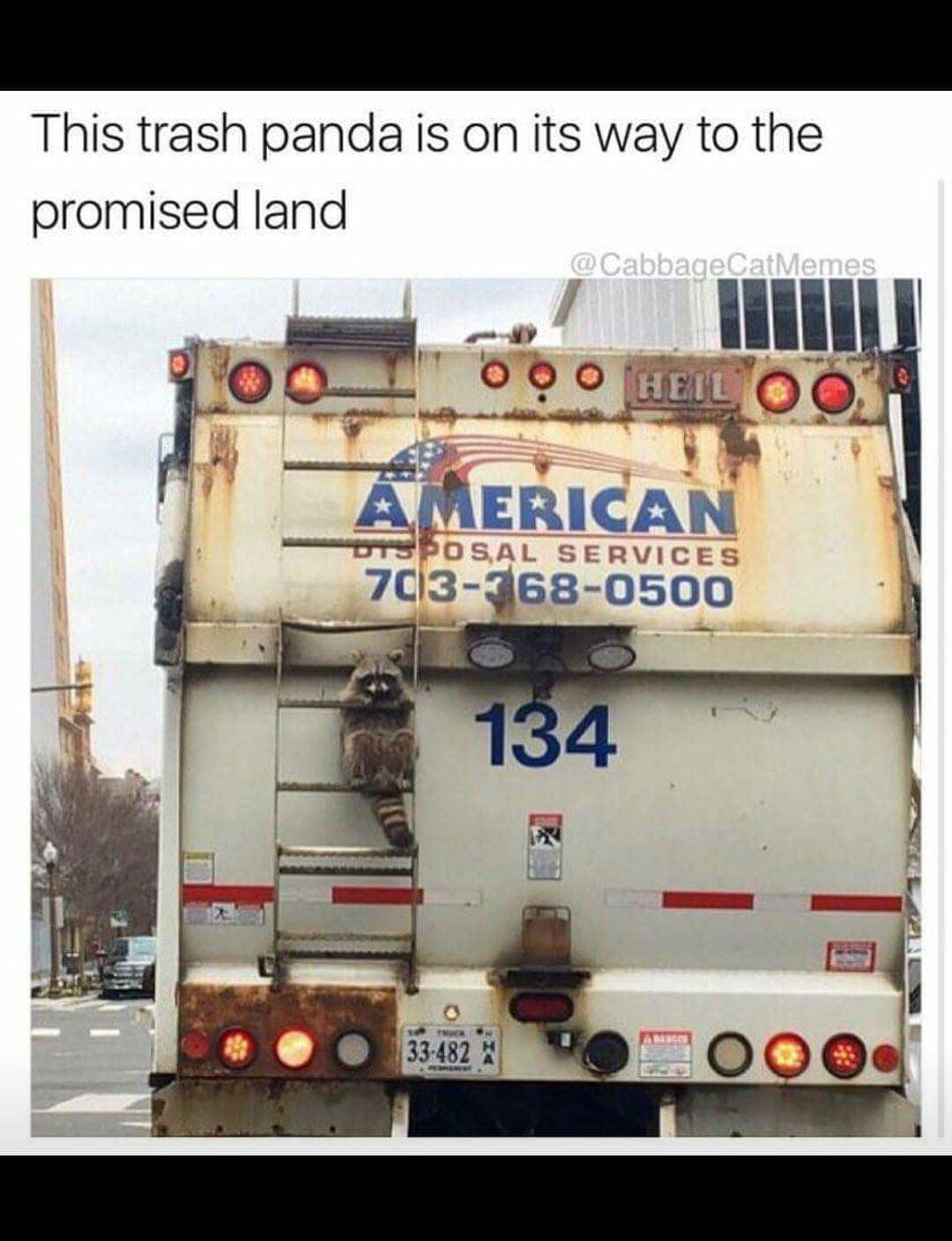 classic memes, vintage memes, viral tweets, old memes, iconic tweets, internet sensations