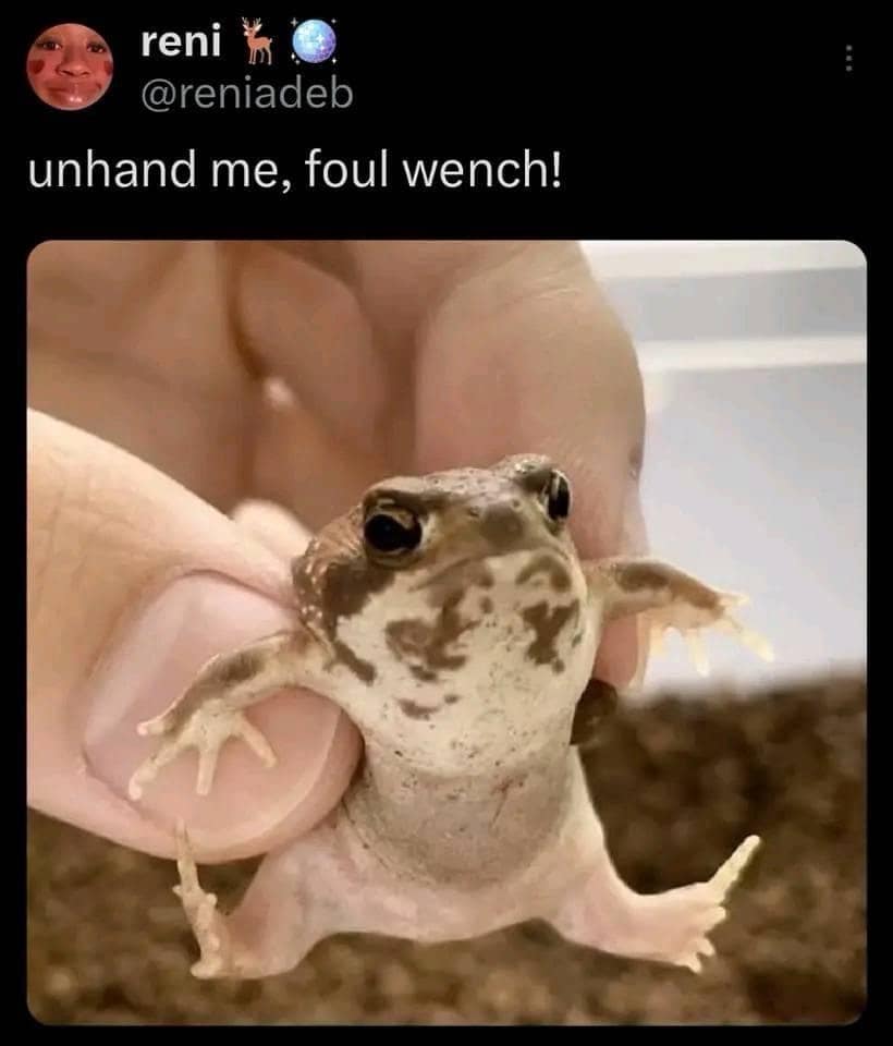 classic memes, vintage meme, viral tweets, timeless memes, viral internet memes, popular tweets, funny viral posts, trending tweets, viral memes, timeless internet humor