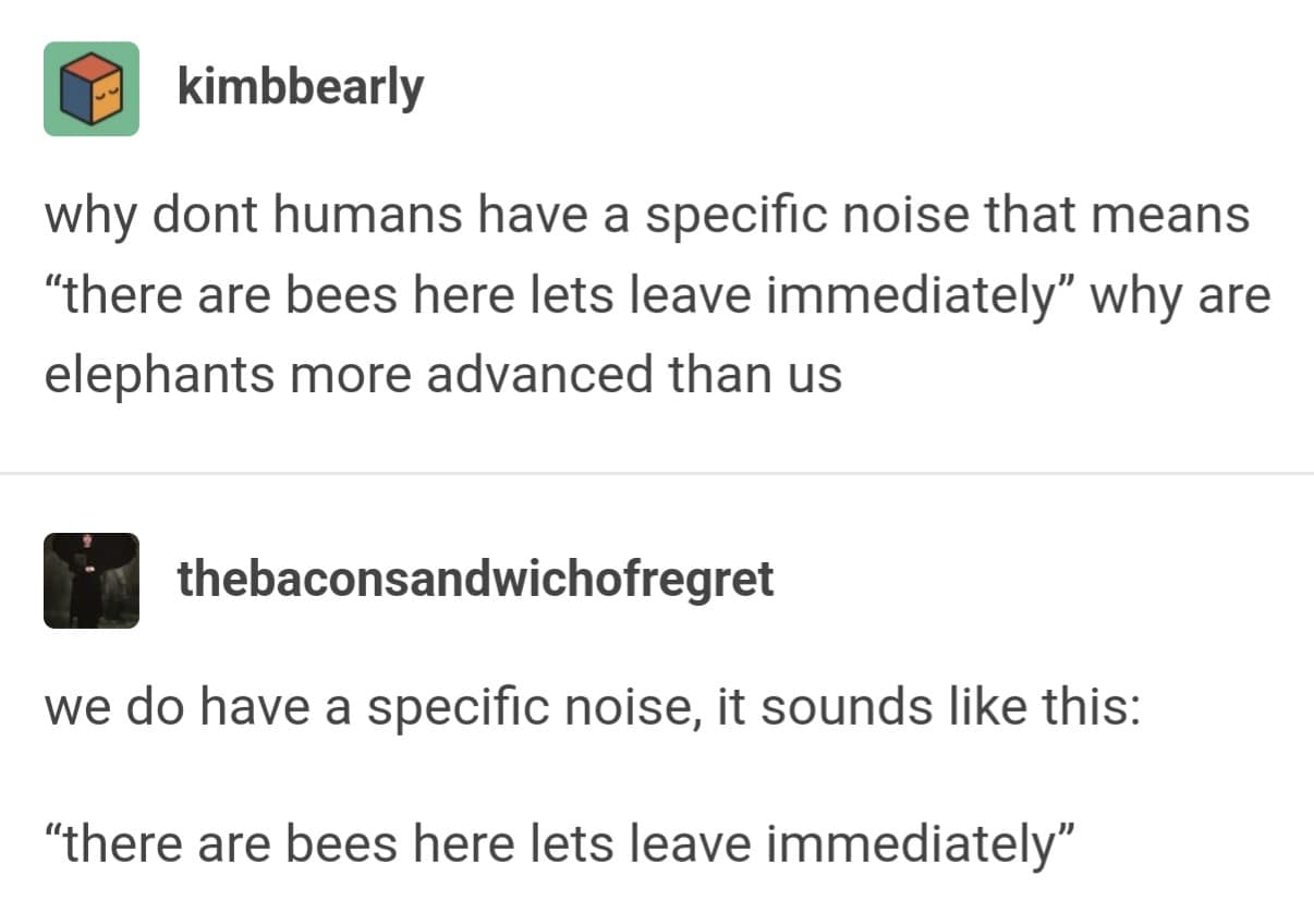 meme dump, funny memes, hilarious memes, internet classics, iconic memes, viral memes, timeless memes