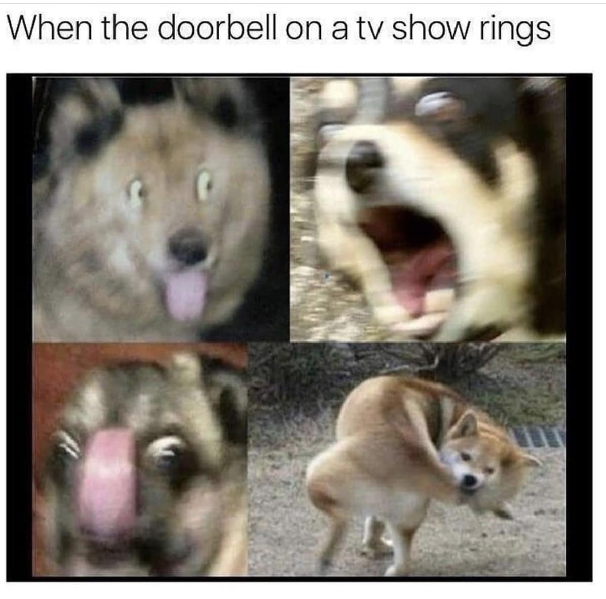 classic memes, vintage memes, viral tweets, timeless memes, viral internet memes, popular tweets,, evergreen memes, viral posts, timeless internet humor