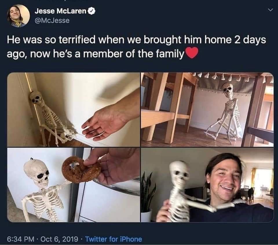 classic memes, vintage memes, viral tweets, best memes, classic meme dump