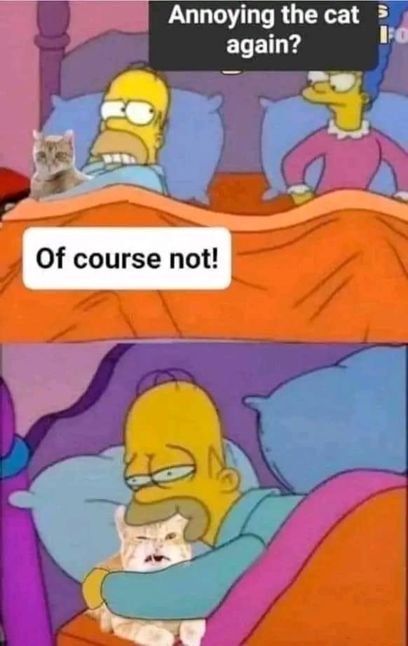 classic memes, vintage memes, viral tweets, timeless memes, viral internet memes, popular tweets, throwback memes, best memes, evergreen memes, viral humor, trending tweets