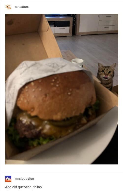 classic memes, vintage memes, viral tweets, timeless memes, internet classics, iconic memes, vintage tweets