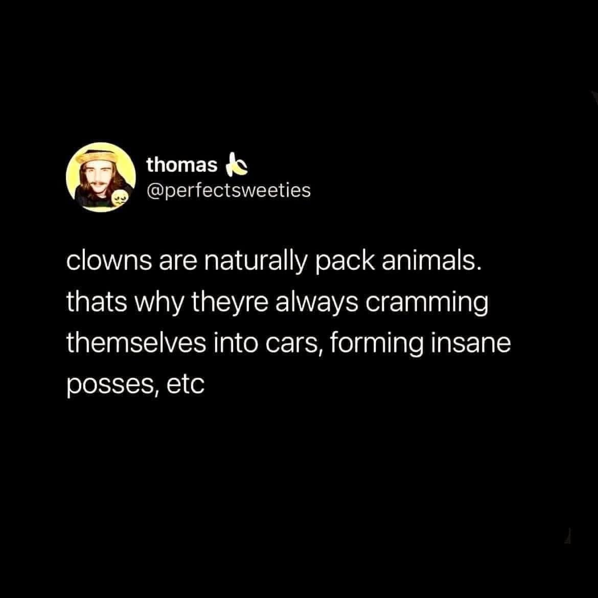 meme dump, funny memes, hilarious memes, internet classics, iconic memes, viral memes, timeless memes