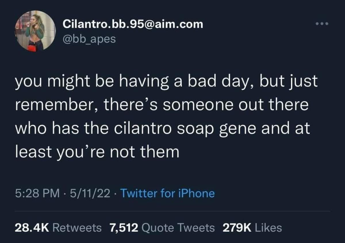 classic memes, vintage memes, viral tweets, timeless memes, throwback memes, iconic memes, best memes