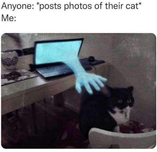 classic memes, vintage memes, viral tweets, funny internet content, Hilarious social media posts, Timeless memes, old memes