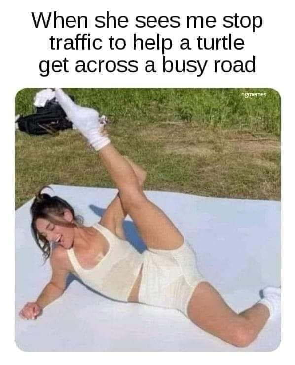 classic memes, vintage memes, viral tweets, timeless memes, internet classics, iconic memes, vintage tweets