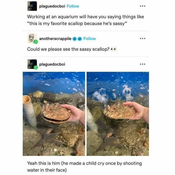 classic memes, vintage memes, viral tweets, internet comedy, viral humor, timeless humor, iconic internet jokes, iconic memes