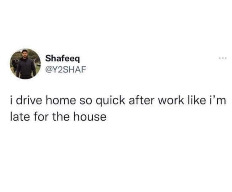 classic memes, vintage memes, viral tweets, timeless memes, internet classics, iconic memes, vintage tweets