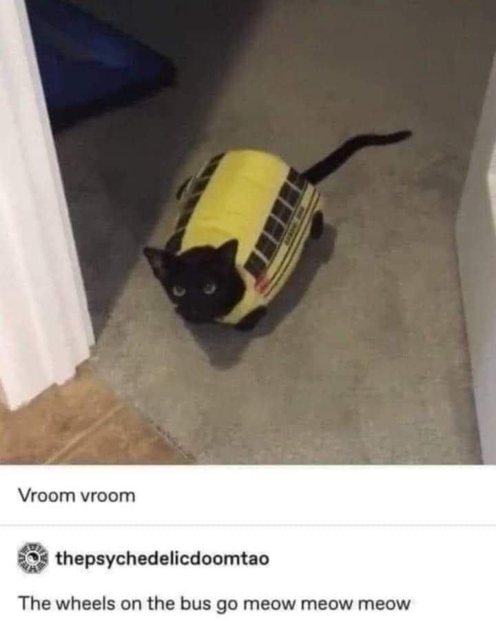 classic memes, vintage memes, viral tweets, best memes, classic meme dump