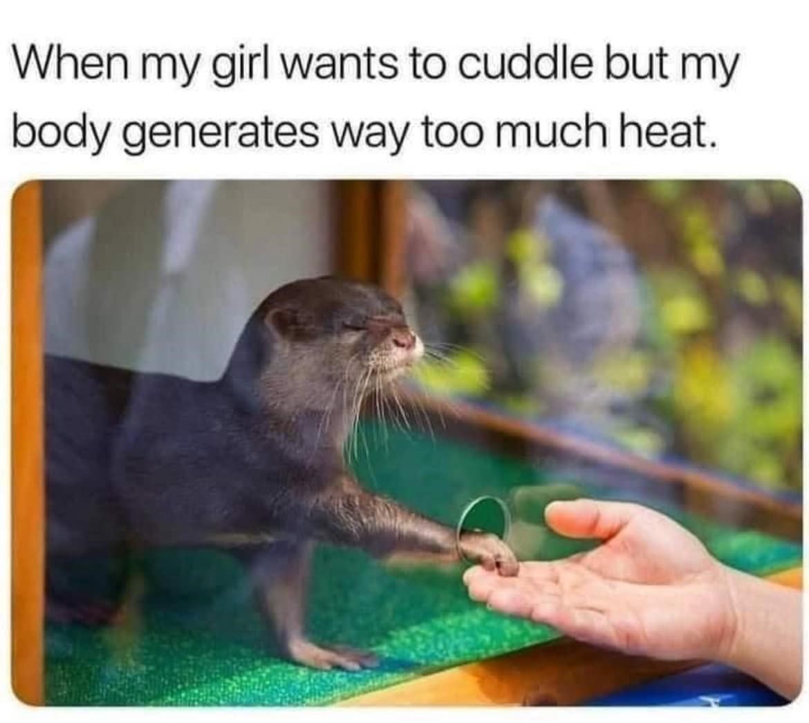 classic memes, vintage memes, viral tweets, internet culture, iconic images timeless memes, legendary internet humor, iconic viral content