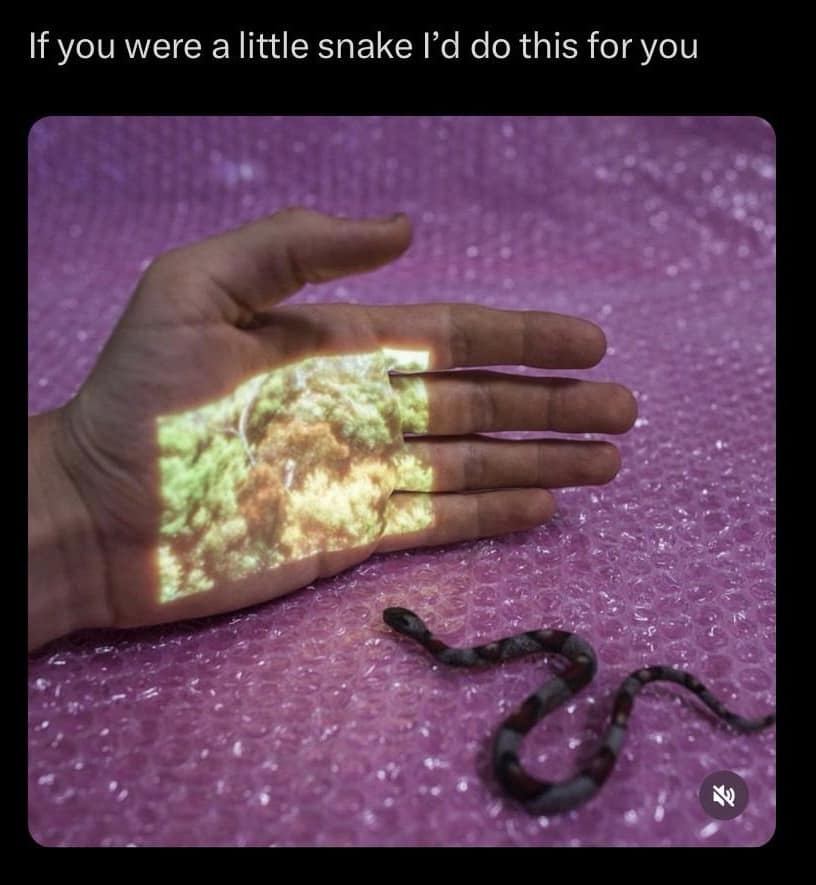 classic memes, vintage memes, viral tweets, timeless memes, viral internet memes, popular tweets,, evergreen memes, viral posts, timeless internet humor