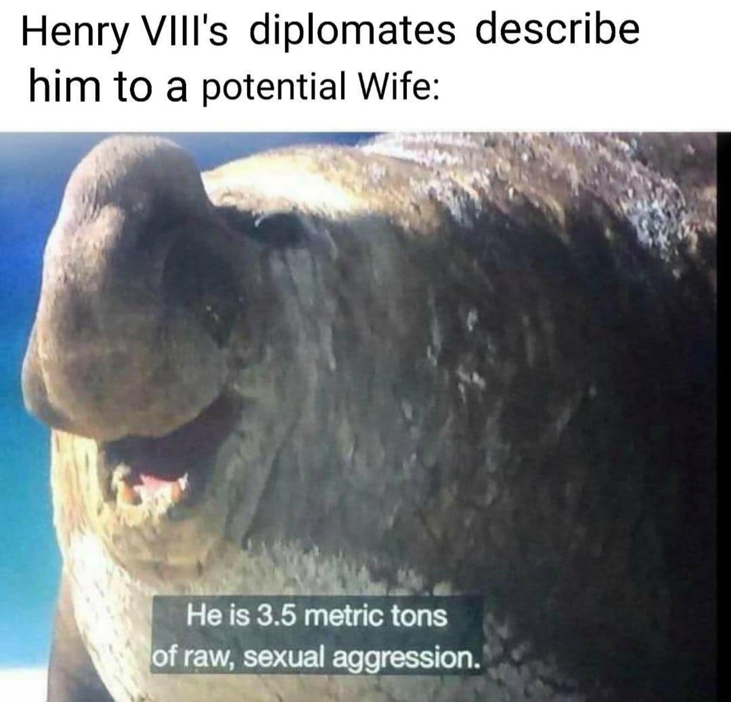 classic memes, vintage memes, viral tweets, timeless memes, viral internet memes, popular tweets, throwback memes, best memes, evergreen memes, viral humor, trending tweets