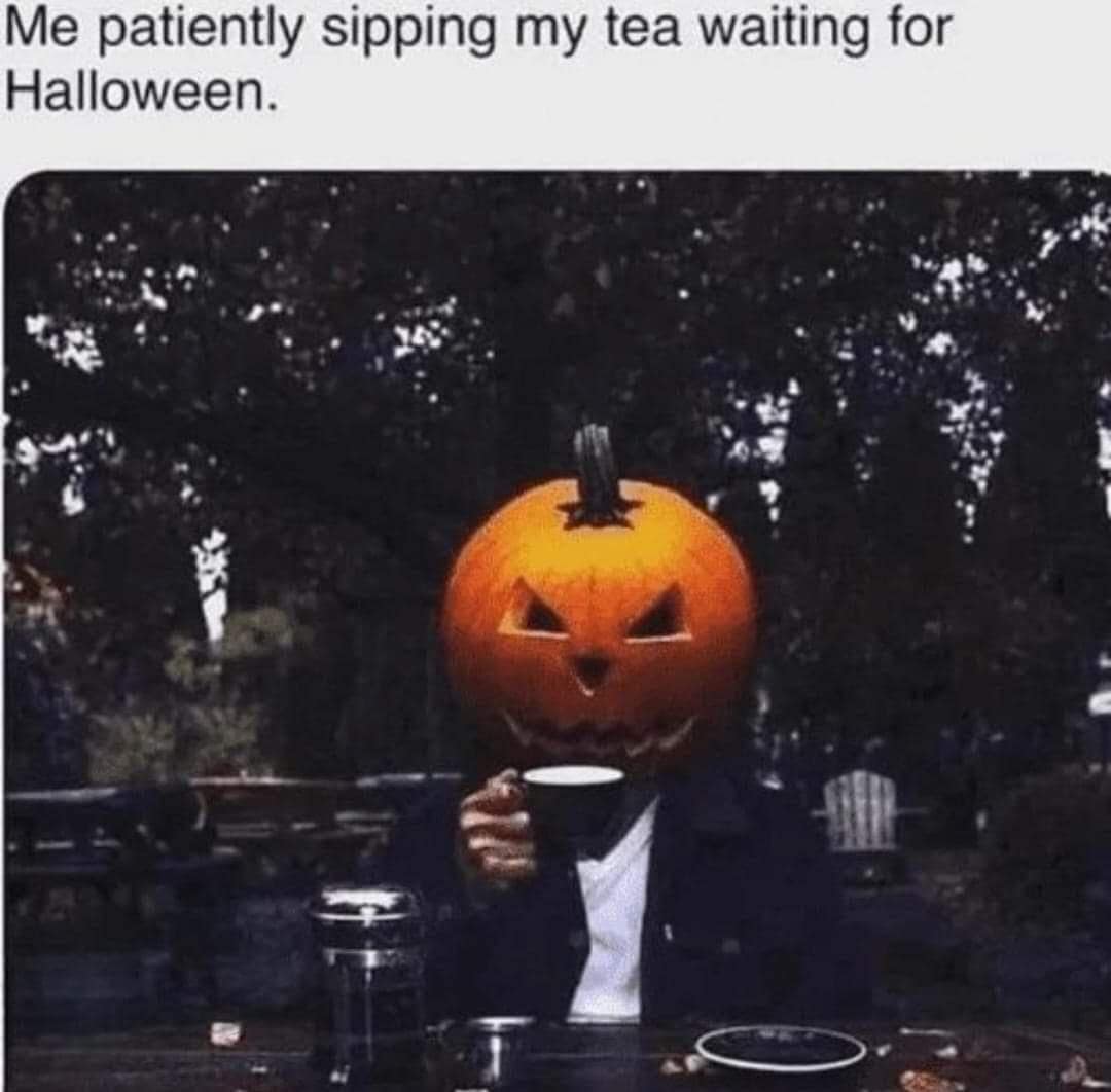 classic memes, vintage memes, viral tweets, funny memes, timeless memes, viral internet memes, popular tweets, funny viral posts, trending tweets, viral memes, timeless internet humor