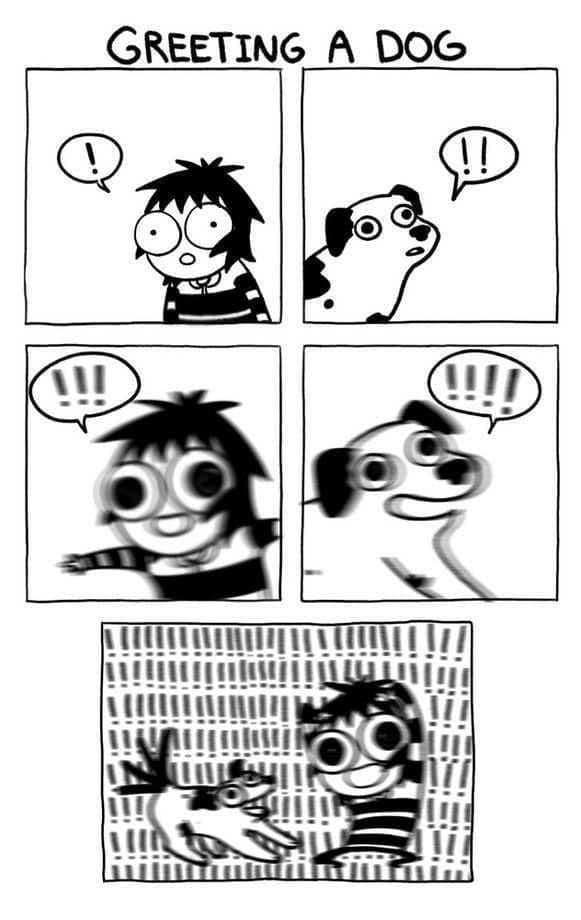 classic memes, vintage memes, viral tweets, timeless memes, viral internet memes, popular tweets,, evergreen memes, viral posts, timeless internet humor