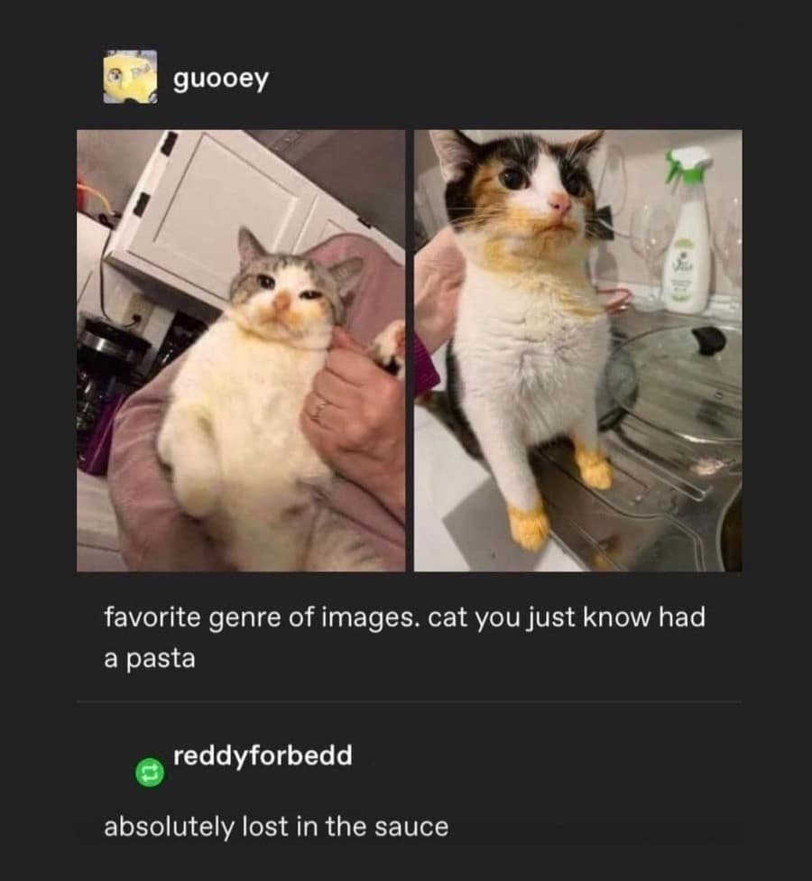 classic memes, vintage memes, viral tweets, classic memes, vintage memes, viral tweets, best memes, OG internet humor, best memes