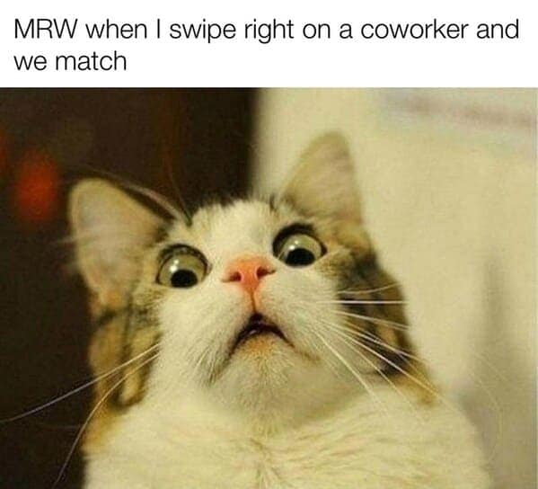 dating memes, Sideways swipes, romantic follies, love's little misadventures, contemporary courtship